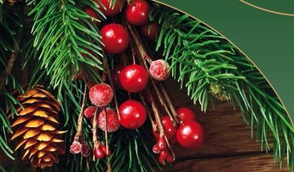 Weihnachtsnoten – Neuerscheinungen Weihnachtsnoten – Neuerscheinungen